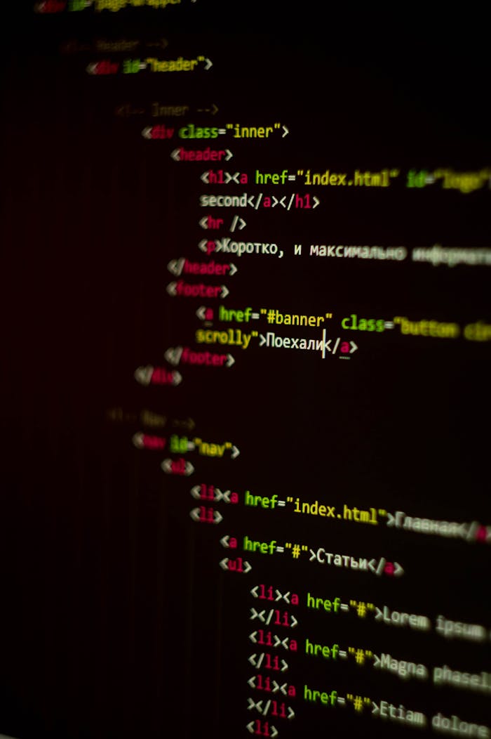 pexels photo 7107487.jpeg